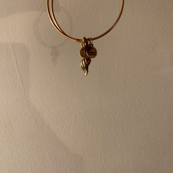 Set of 3 Alex and Ani bracelets - Picture 3 of 5